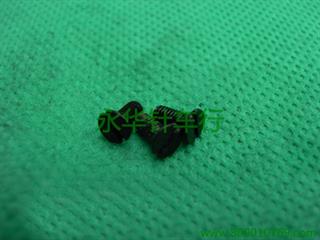 罗拉轮前盘螺钉 D-ZMC02505