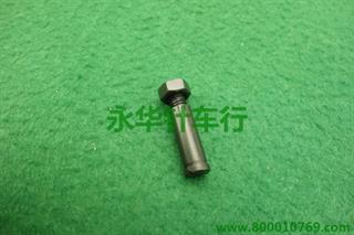 210D螺钉+螺母 P9-2.9