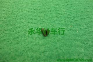 210D P5-53 SS-1110640-TP