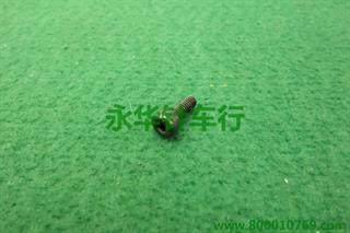 600 定环螺钉