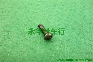 满线片大螺钉　.