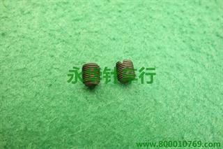 双针齿轮螺钉　加长一字