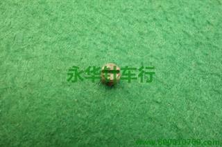 双针齿轮螺钉   一字.