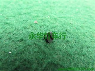 1850 P1-8 SS-7110410-SP